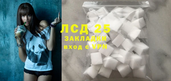 стаф Дмитриев