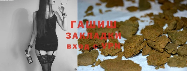 стаф Дмитриев