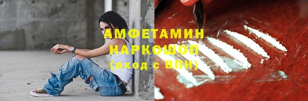 стаф Дмитриев