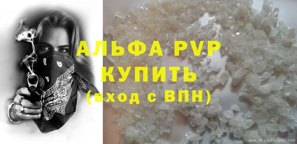 прущие грибы Саяногорск