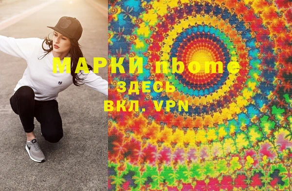 стаф Дмитриев