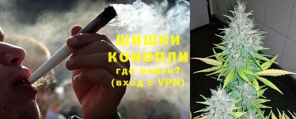стаф Дмитриев
