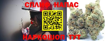 индика Ливны
