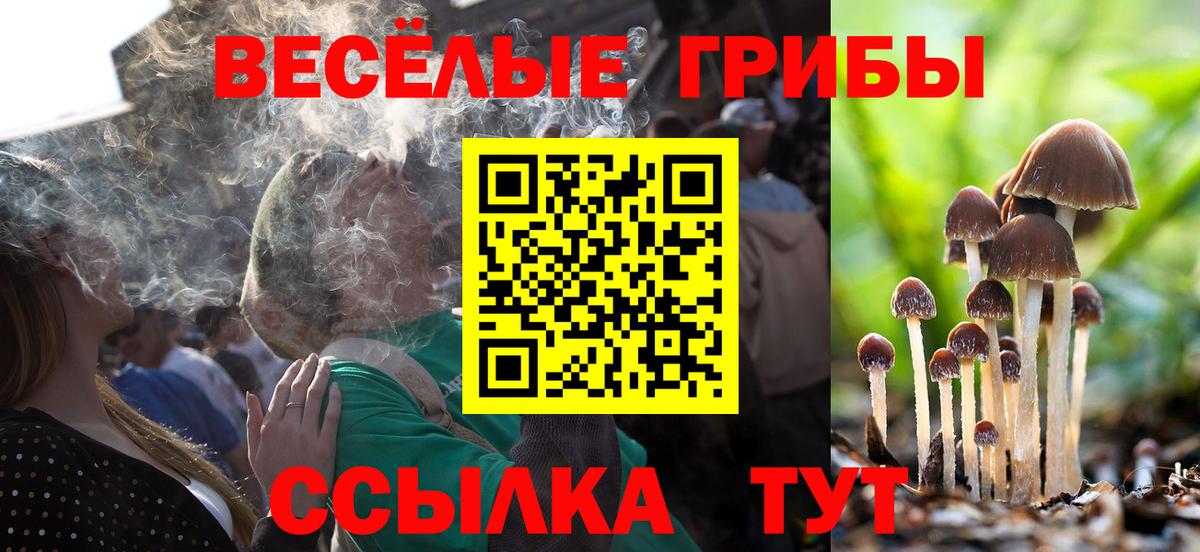 Галлюциногенные грибы мицелий Добрянка