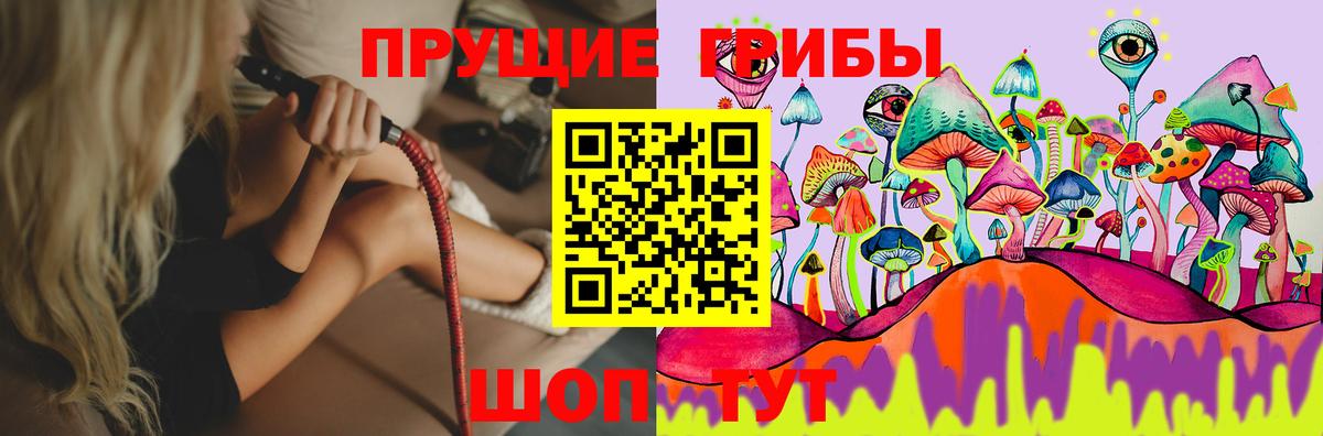 дарнет шоп  Псилоцибиновые грибы GOLDEN TEACHER  Вход с VPN  Добрянка 